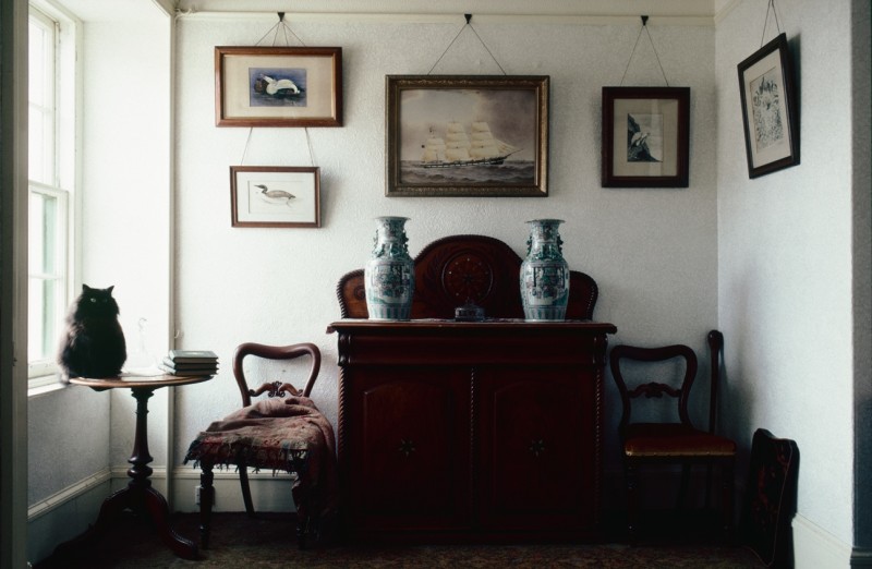 ‘Captain Jock’s’ drawing-room with Paddy the cat, at 9 Alfred Street. The wildlife paintings are by J. G. Millais. © Estate of Keith Allardyce