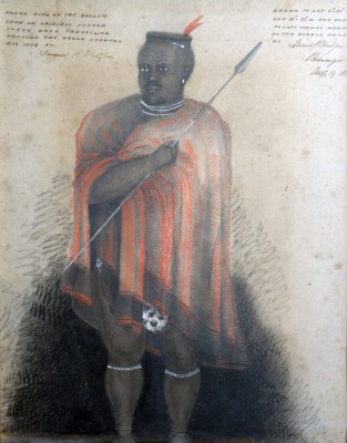 The Panda King. Image © Stromness Museum.