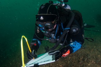 Joanne Porter filling in a Seasearch slate, hovering over a Flame Shell nest area © Bob Anderson
