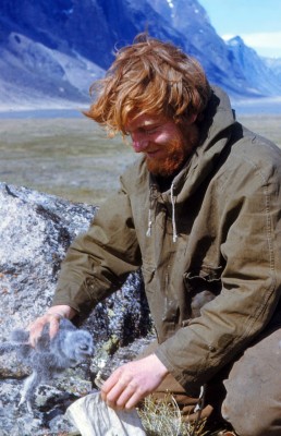 Dr Adam Watson, weighing a snowy owlet on Baffin Island, 1953 – Photo courtesy of Jenny Aitchison. Photograph of a man weighting a snowy owlet