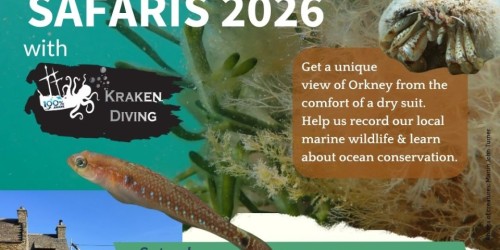 Snorkel Safari 2026 with Kraken Diving