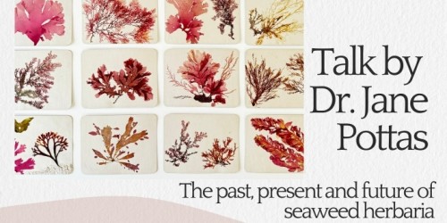 Dr Jane Pottas: Herbaria - a pressing issue?