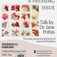 Dr Jane Pottas: Herbaria - a pressing issue?
